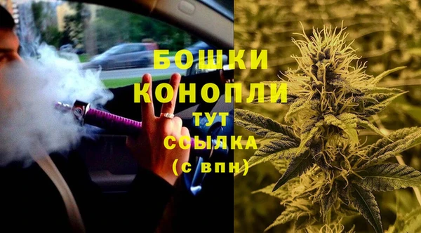 гидра Семилуки